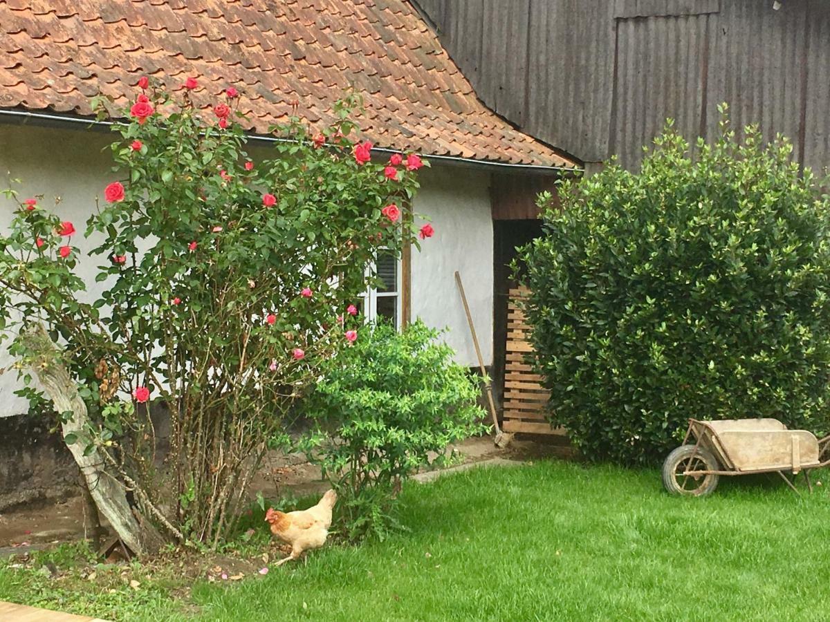 La Fermette De Jules Vendégház Fressin Kültér fotó